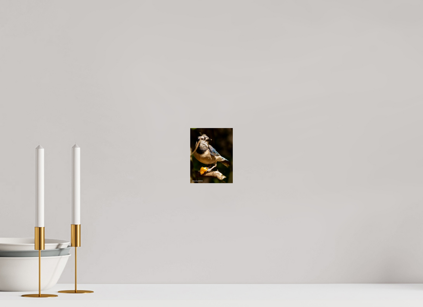 4 x 5.2″, Photo Print Under Acrylic Glass Zillas Zoom Image 480