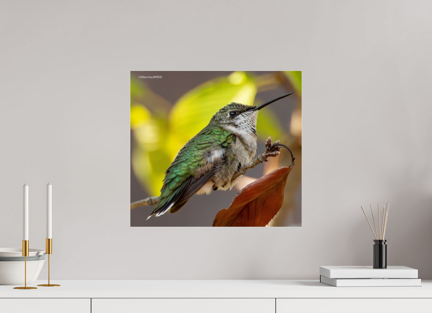 17.6 x 16″, Photo Print Under Acrylic Glass Zillas Zoom Image 347