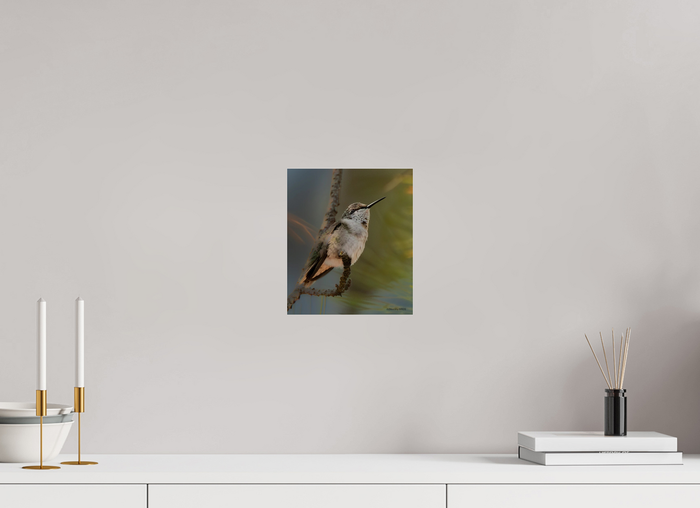 8 x 9.3″, Photo Print Under Acrylic Glass Zillas Zoom Image 499