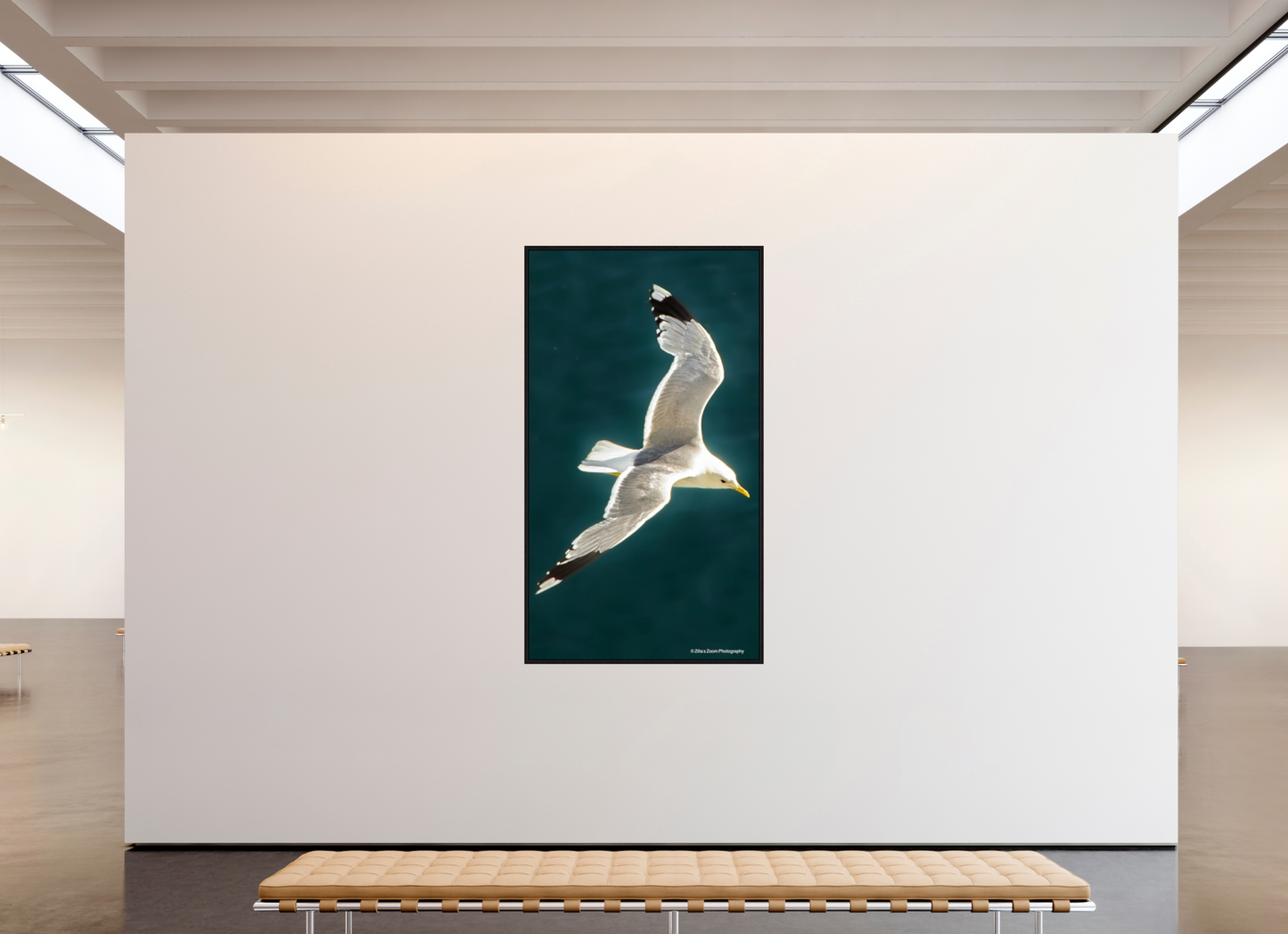 45 x 80″, Floater Frame Zillas Zoom Image 467