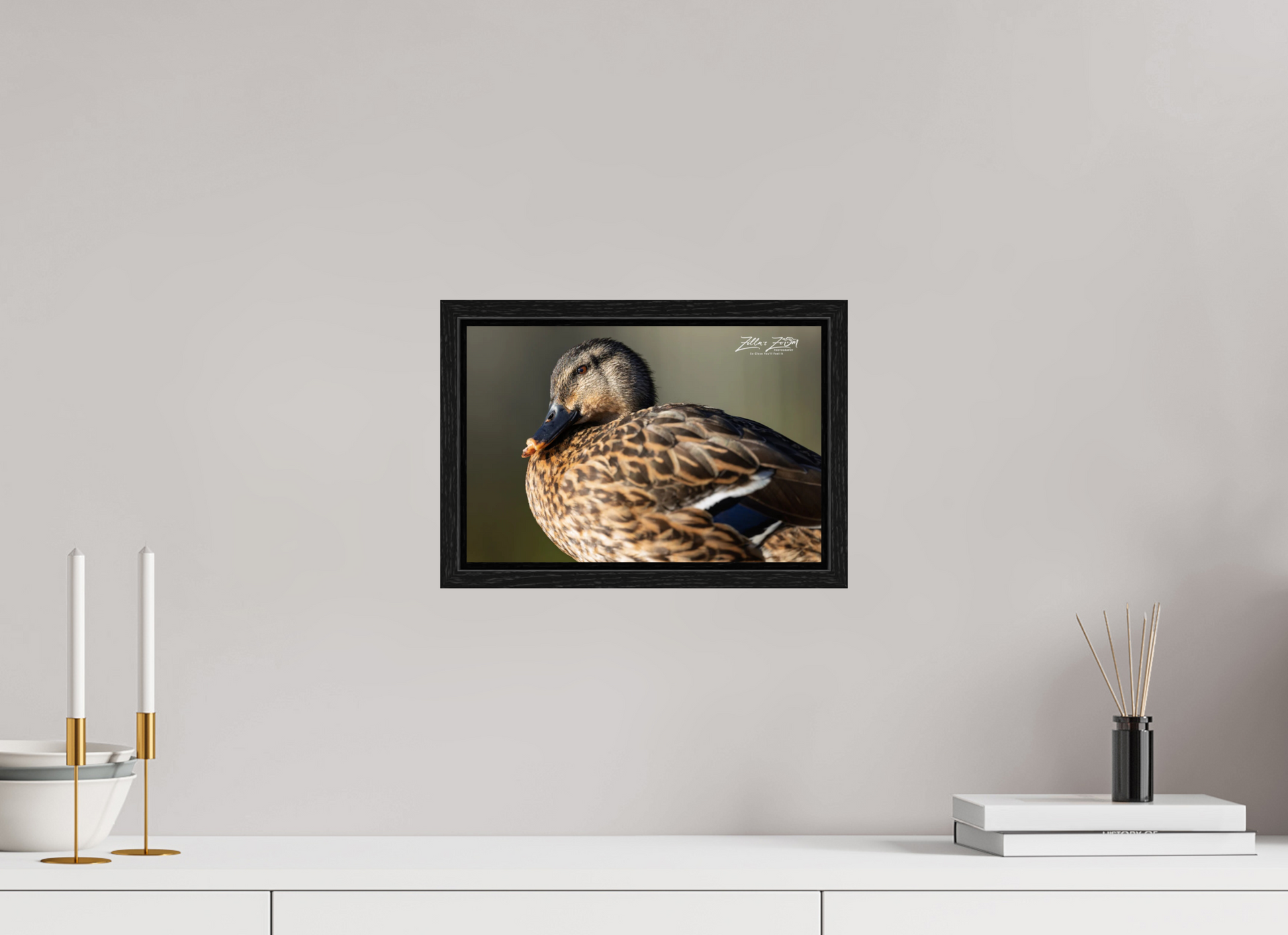 12 x 8″, Floater Frame Zillas Zoom Image 300