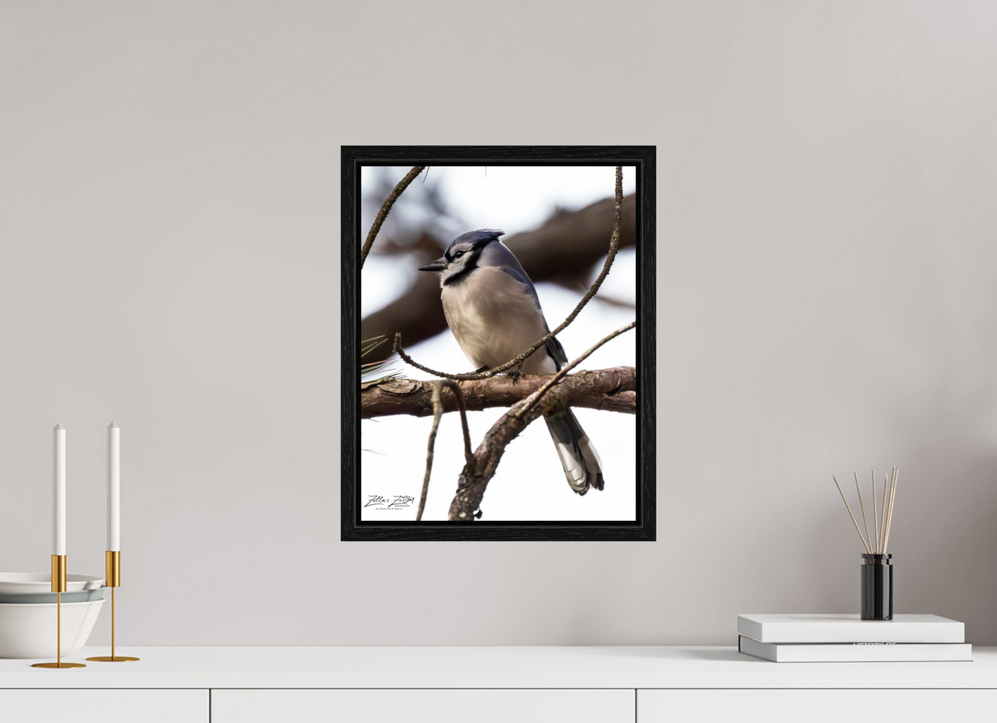 12 x 15.5″, Floater Frame Zillas Zoom Image 455