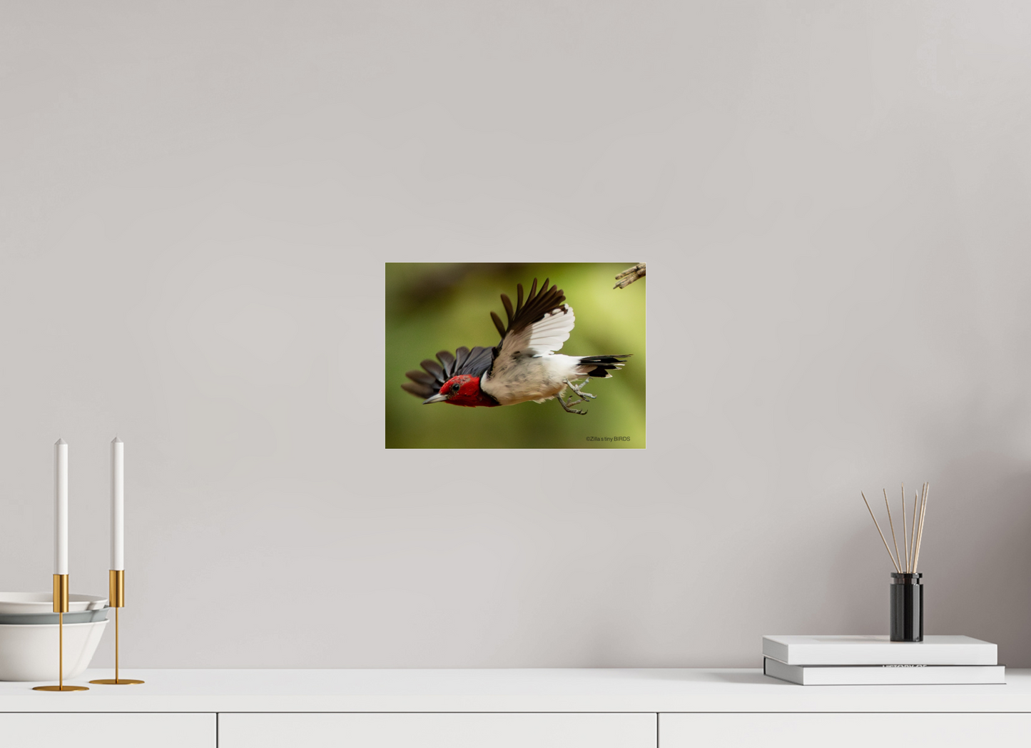 11.2 x 8″, Photo Print Under Acrylic Glass Zillas Zoom Image 274