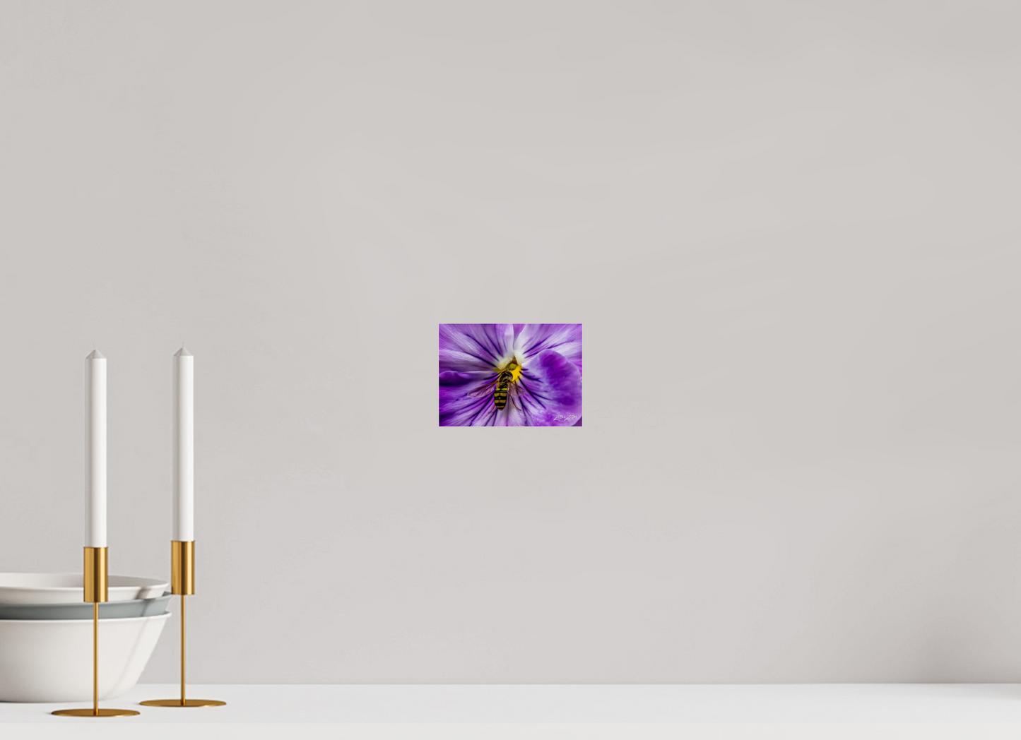 5.6 x 4″, Photo Print Under Acrylic Glass Zillas Zoom Image 103