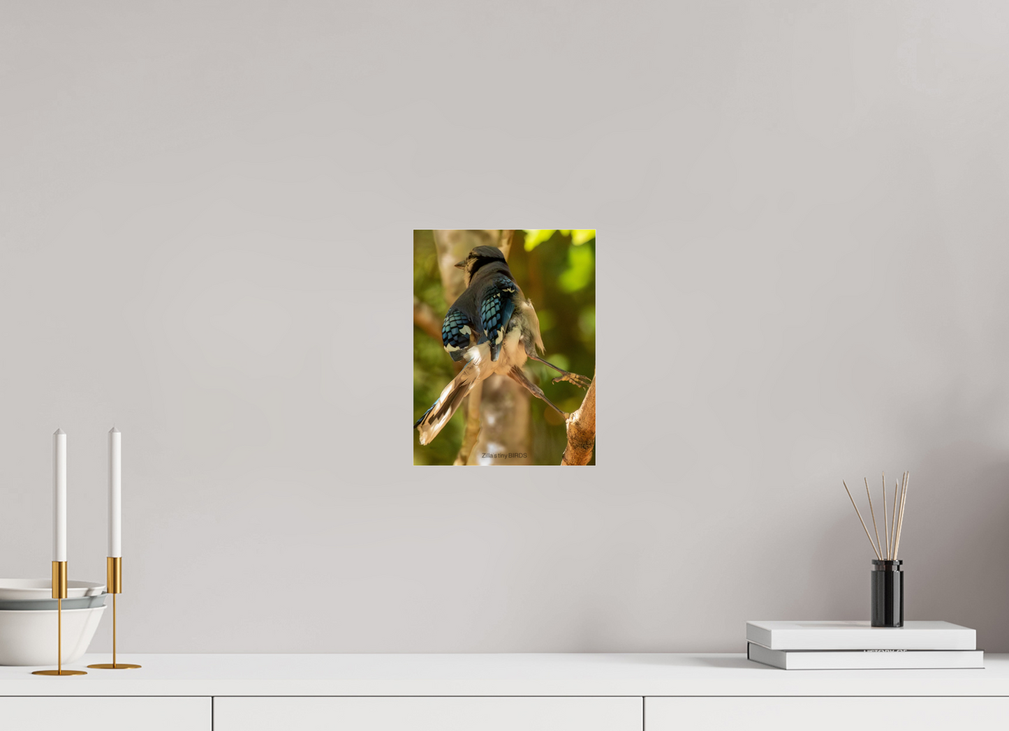 8 x 10.4″, Photo Print Under Acrylic Glass Zillas Zoom Image 518