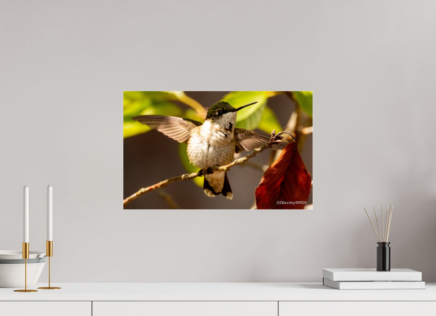 19.2 x 12″, Photo Print Under Acrylic Glass Zillas Zoom Image 350