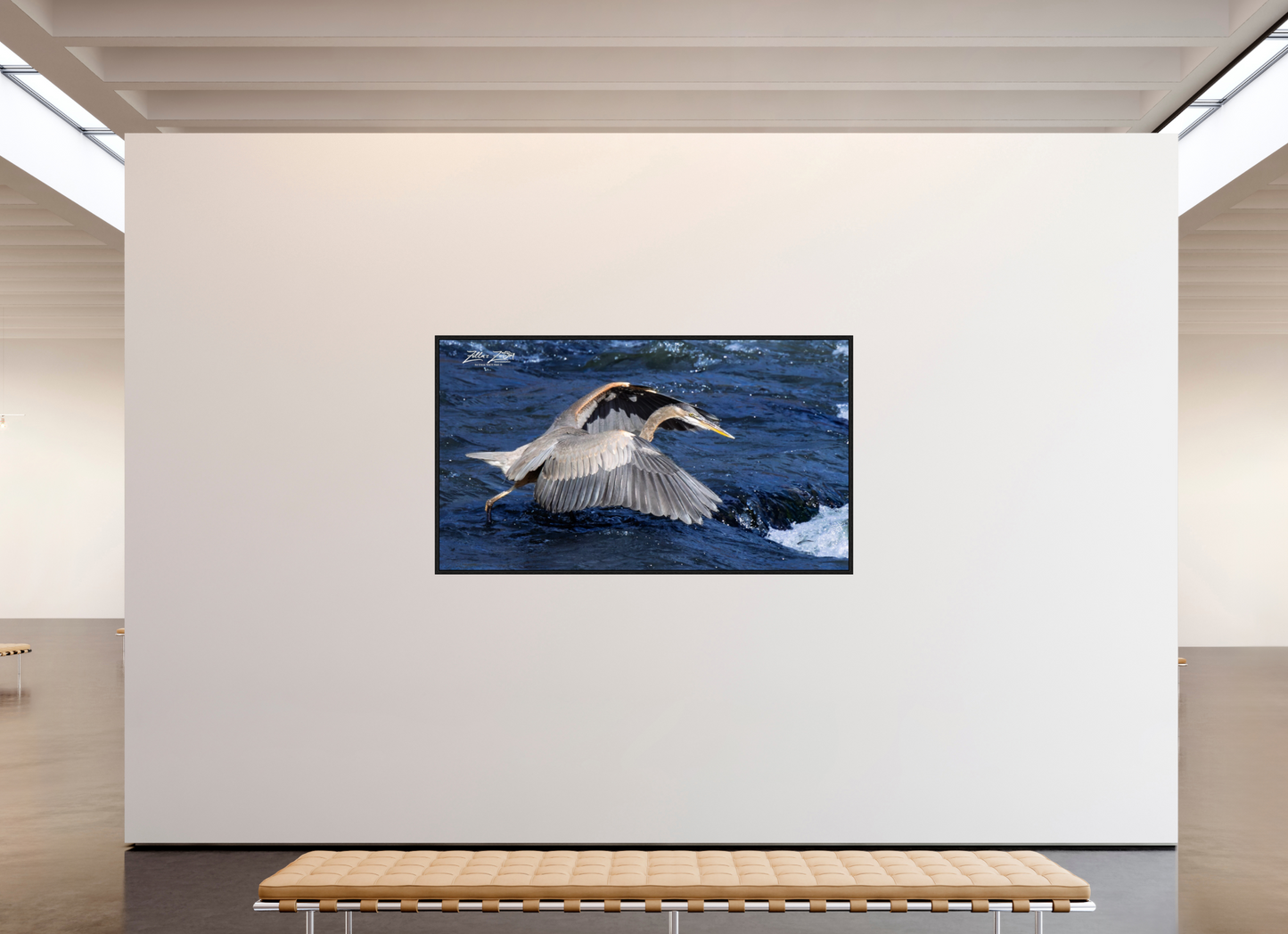 80 x 45″, Floater Frame Zillas Zoom Image 286