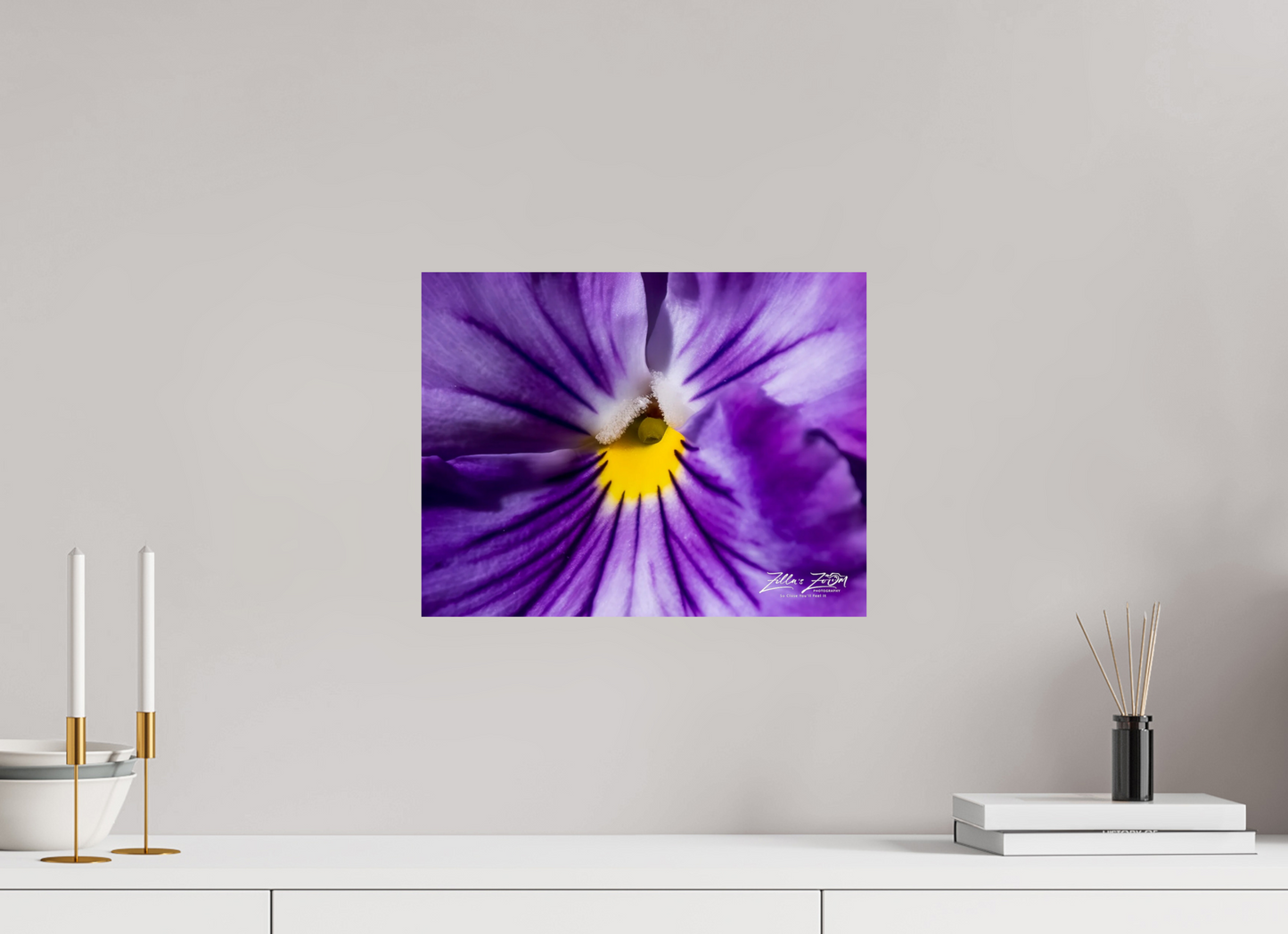 15.5 x 12″, Photo Print On Fuji Crystal DP II Zillas Zoom Image 105