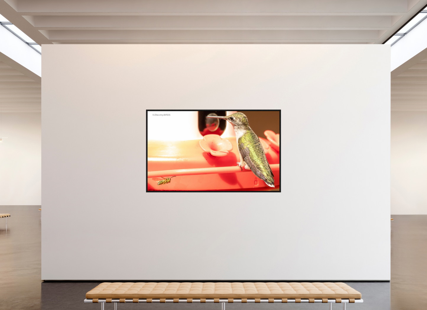 77.8 x 47″, Floater Frame Zillas Zoom Image 320