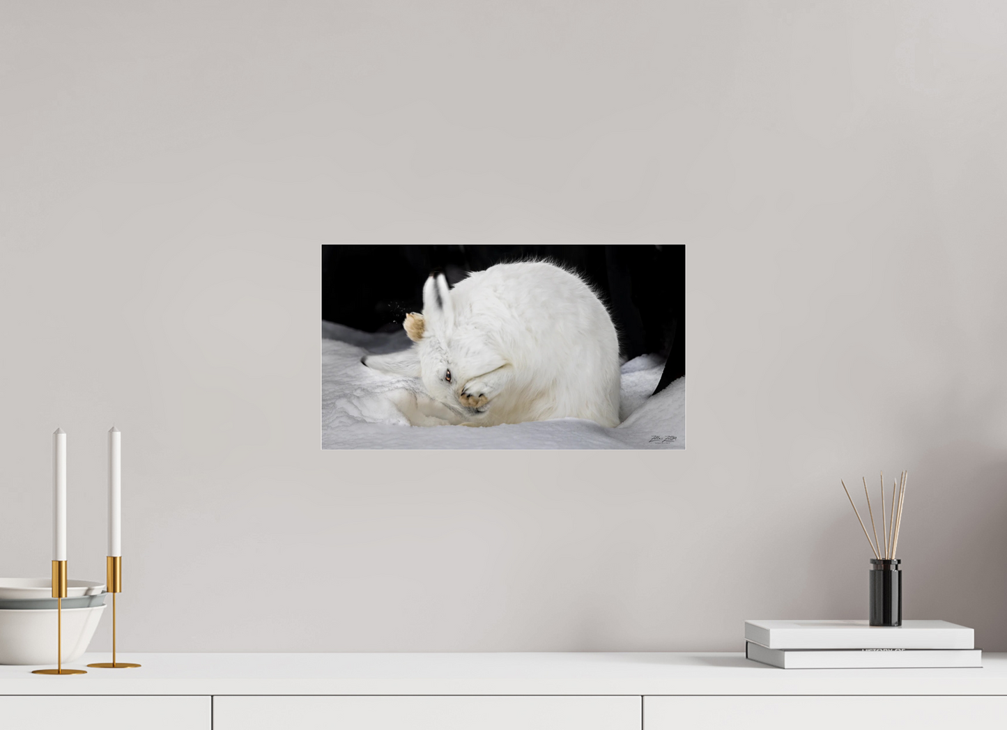 16 x 9″, Photo Print Under Acrylic Glass Zillas zoom image 142