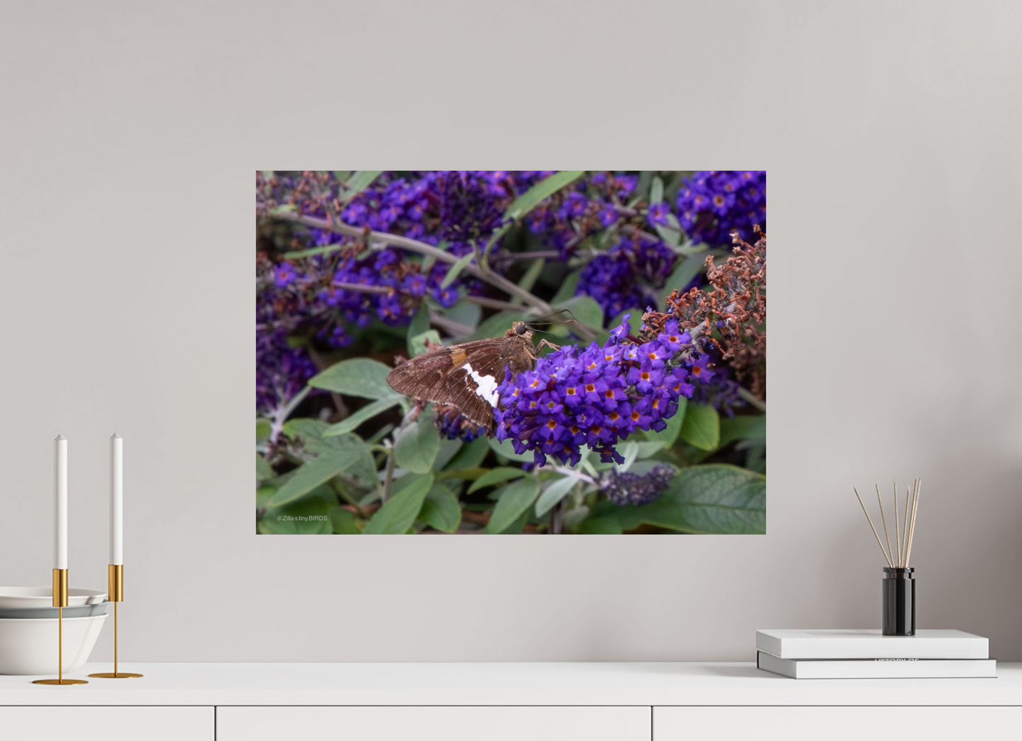 22.4 x 16″, Photo Print On Fuji Crystal DP II Zillas Zoom Image 60
