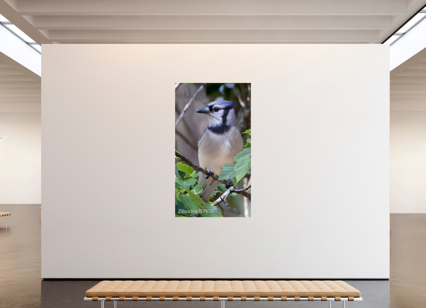 45 x 80″, Photo Print On Fuji Crystal DP II Zillas Zoom Image 483