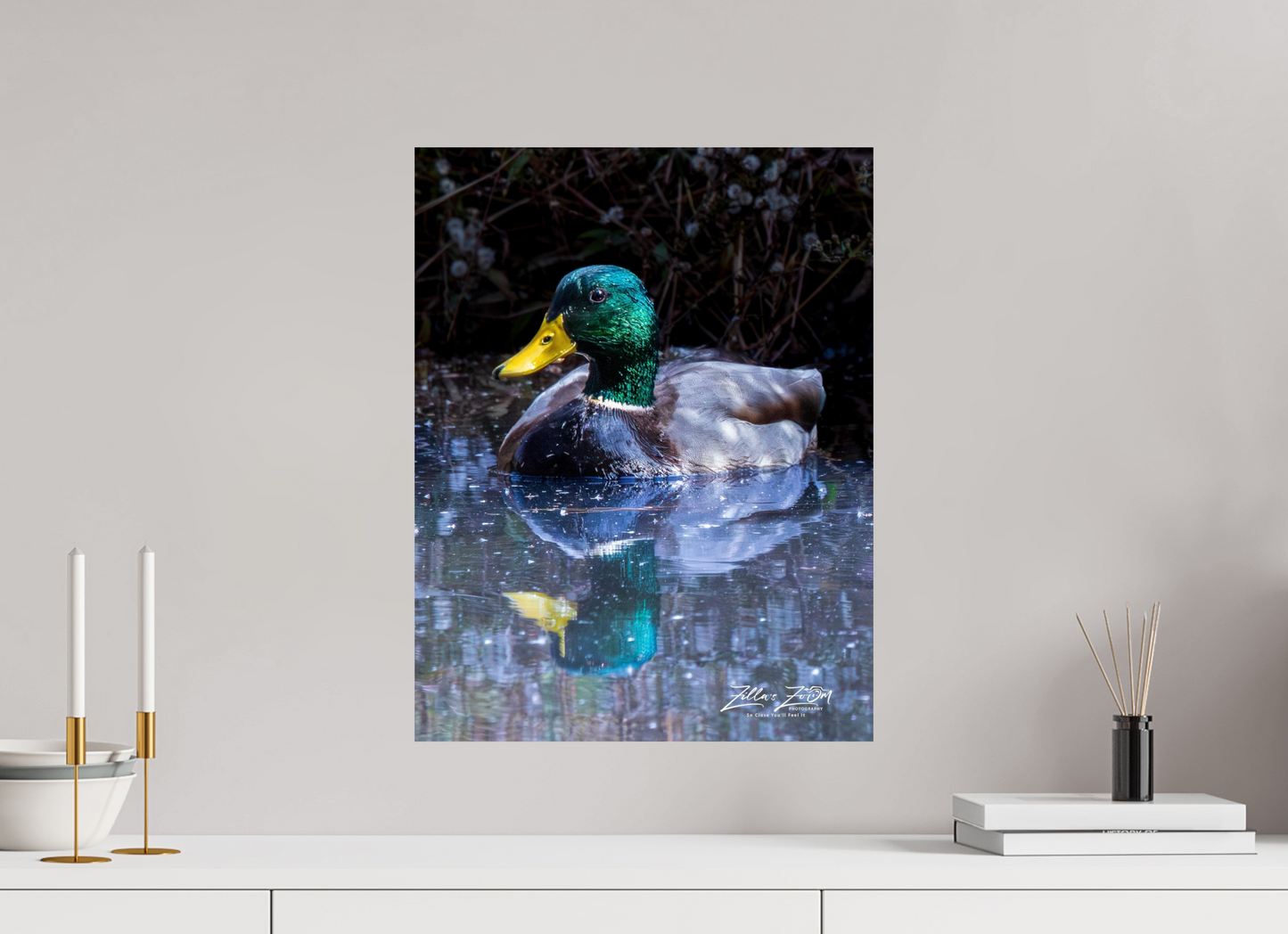 16 x 20.7″, Photo Print On Fuji Crystal DP II Zillas Zoom Image 422