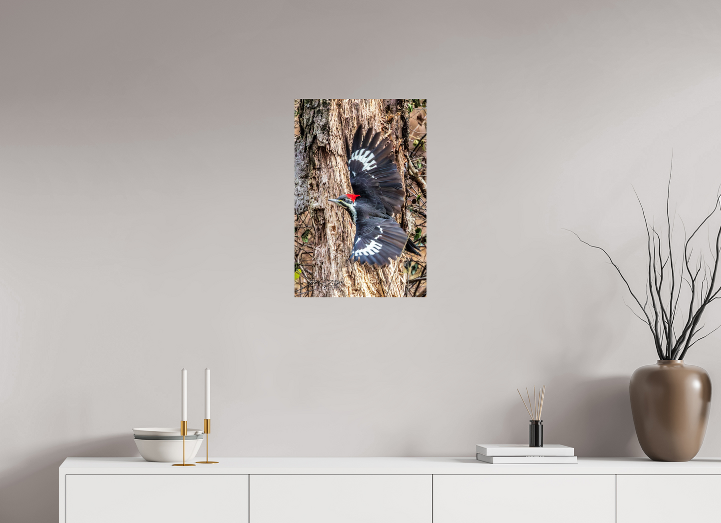 16 x 24″, Photo Print On Fuji Crystal DP II Zillas Zoom Image 418