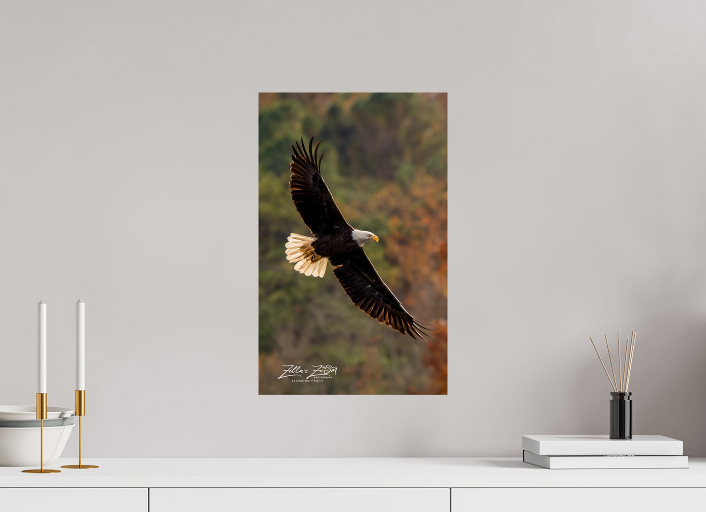 12 x 19.2″, Photo Print On Fuji Crystal DP II Zillas Zoom Image 417