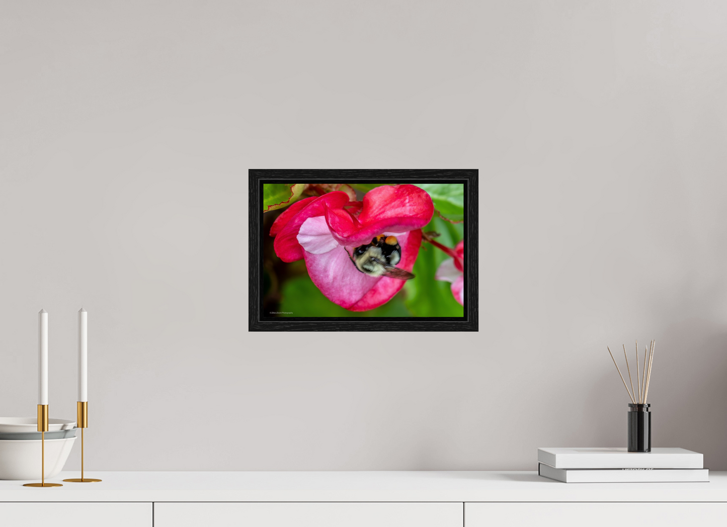 12 x 8″, Floater Frame Zillas Zoom Image 101