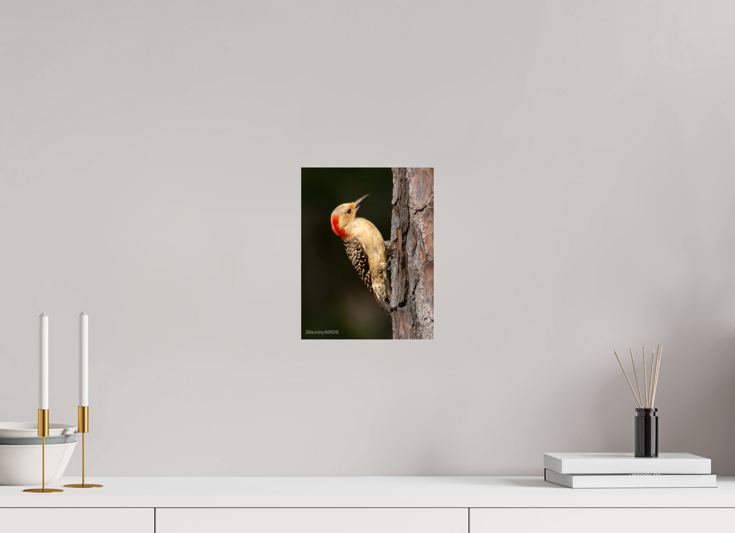 8 x 10.4″, Photo Print Under Acrylic Glass Zillas Zoom Image 514