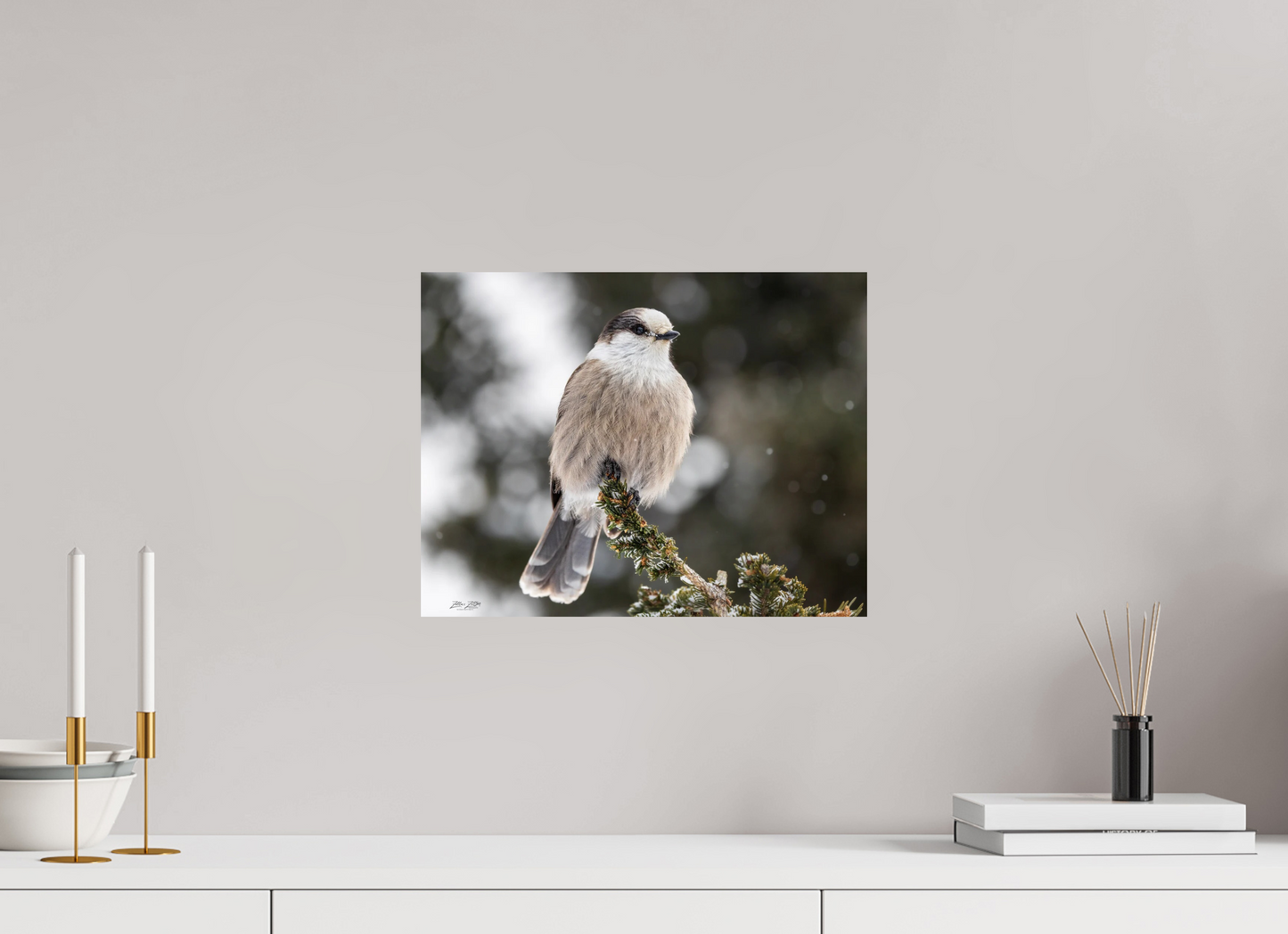 15.6 x 12″, Photo Print On Fuji Crystal DP II Zillas Zoom Image 353