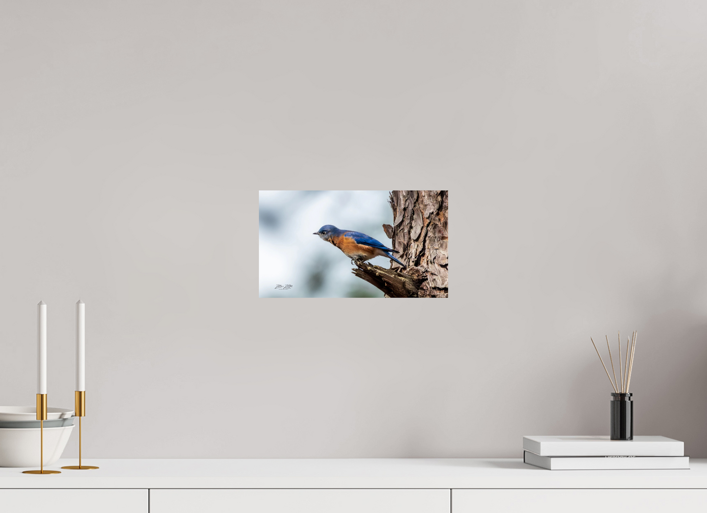 12 x 6.8″, Photo Print On Fuji Crystal DP II Zillas Zoom Image 346