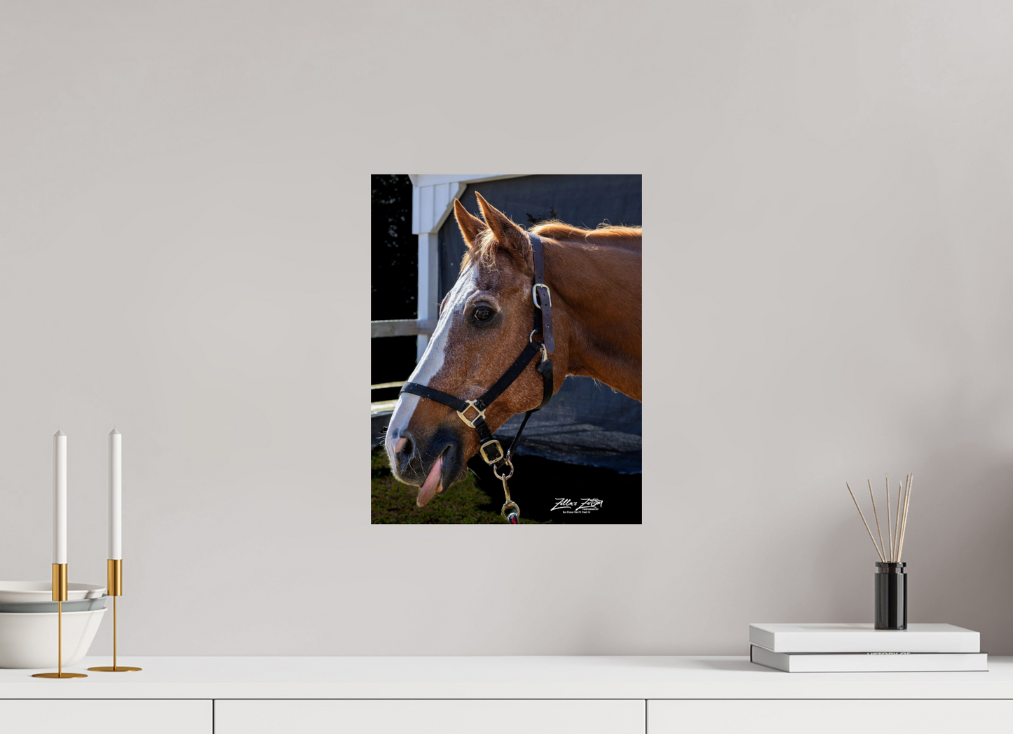 12 x 15.5″, Photo Print On Fuji Crystal DP II Zillas zoom image 157