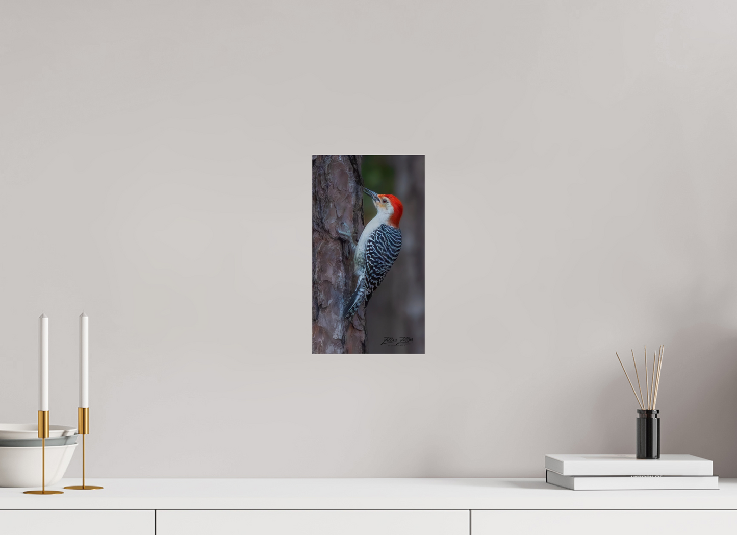6.8 x 12″, Photo Print Under Acrylic Glass Zillas Zoom Image 445
