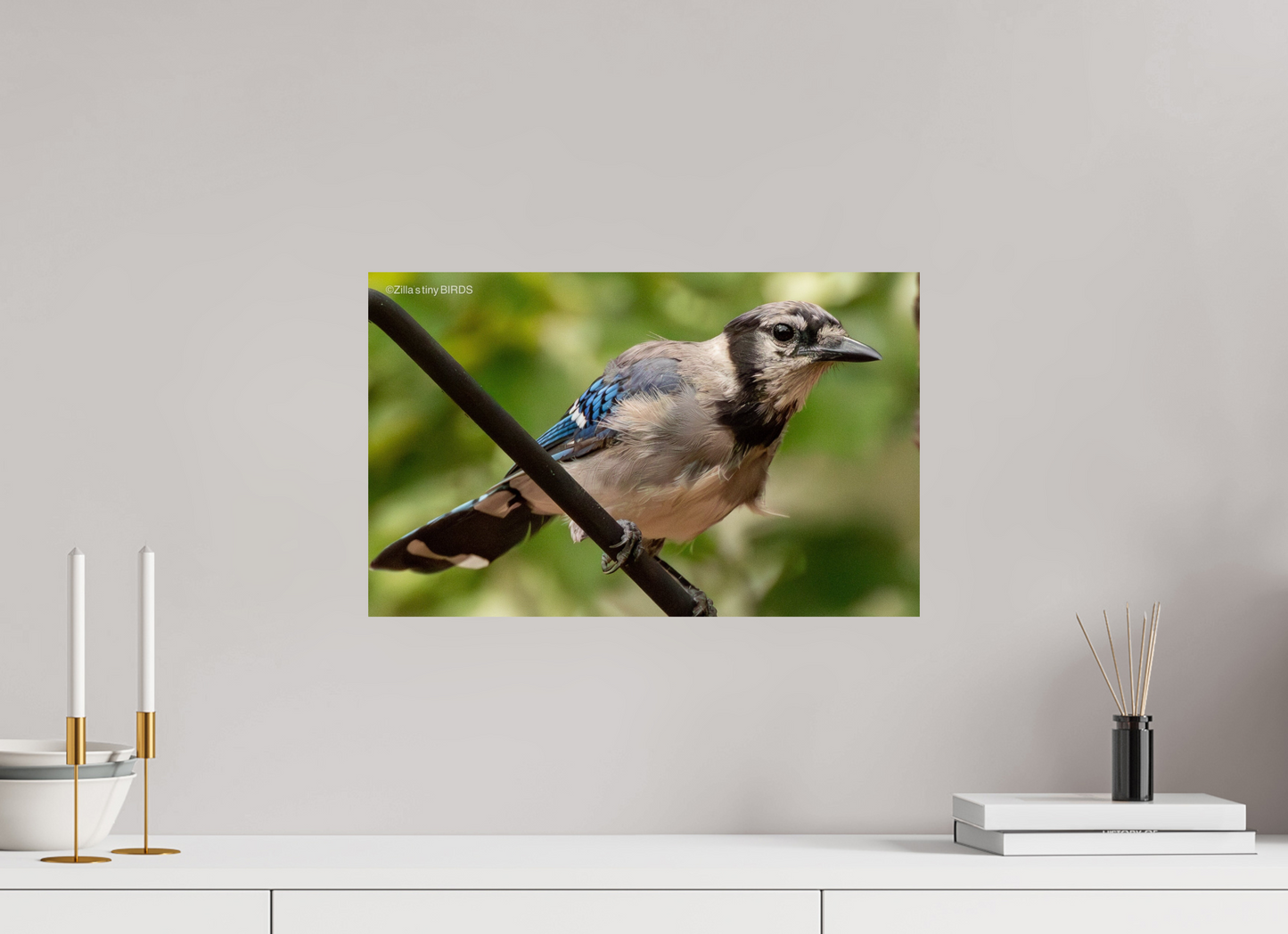 19.2 x 12″, Photo Print On Fuji Crystal DP II Zillas Zoom Image 348
