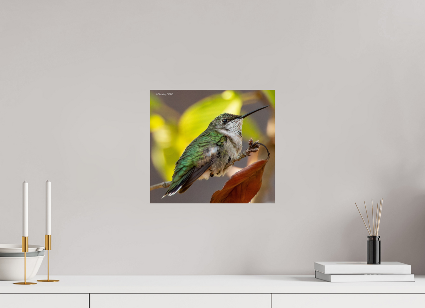 13.2 x 12″, Photo Print On Fuji Crystal DP II Zillas Zoom Image 347
