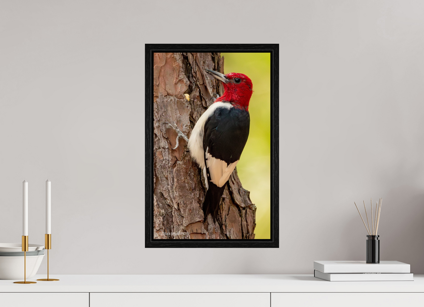 12 x 19.2″, Floater Frame Zillas Zoom Image 463