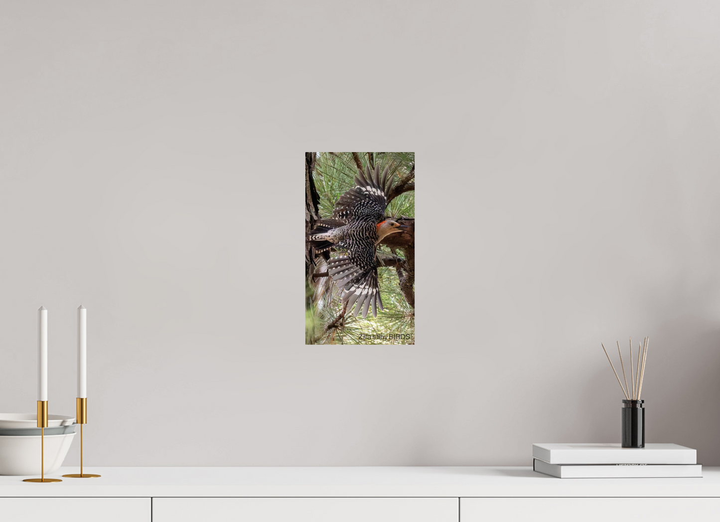 6.8 x 12″, Photo Print On Fuji Crystal DP II Zillas Zoom Image 477