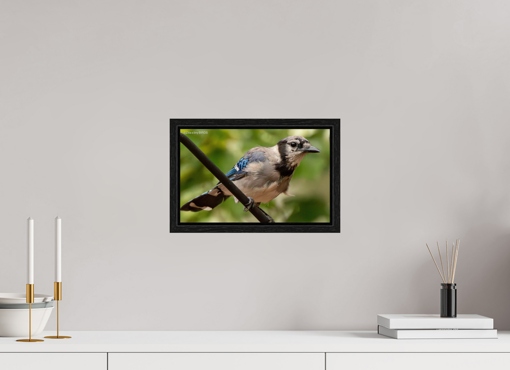 12.8 x 8″, Floater Frame Zillas Zoom Image 348