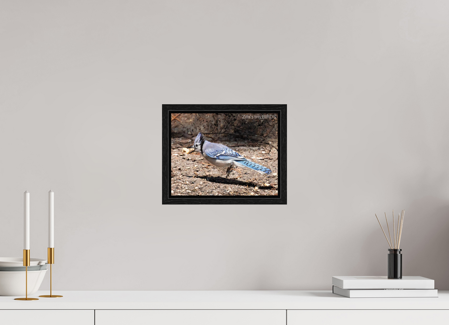 10.4 x 8″, Floater Frame Zillas Zoom Image 381
