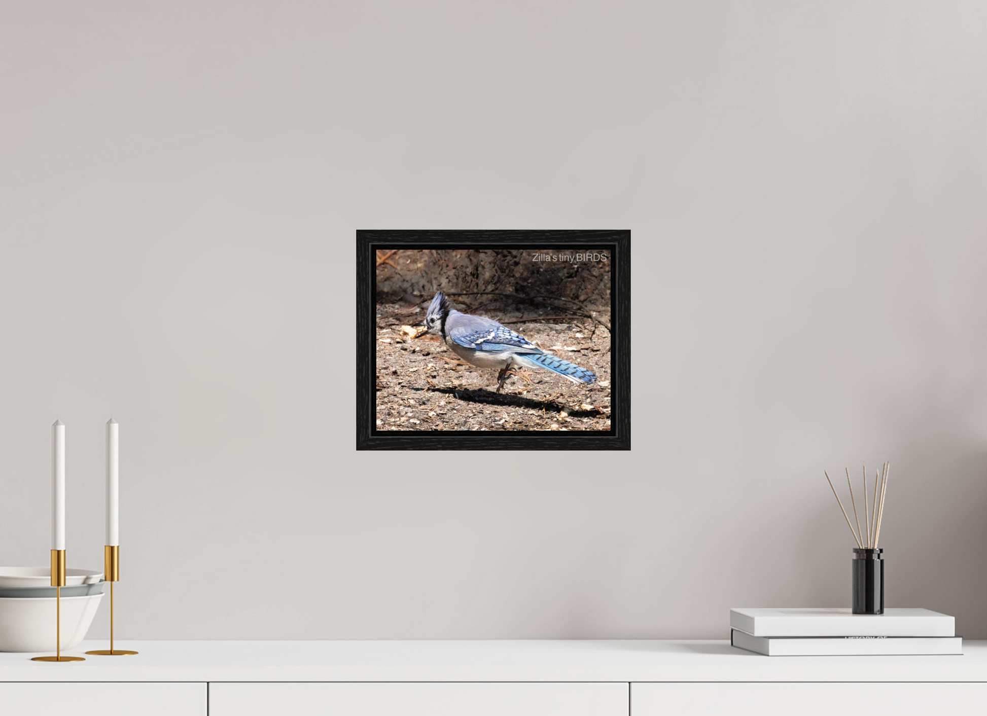 10.4 x 8″, Floater Frame Zillas Zoom Image 381