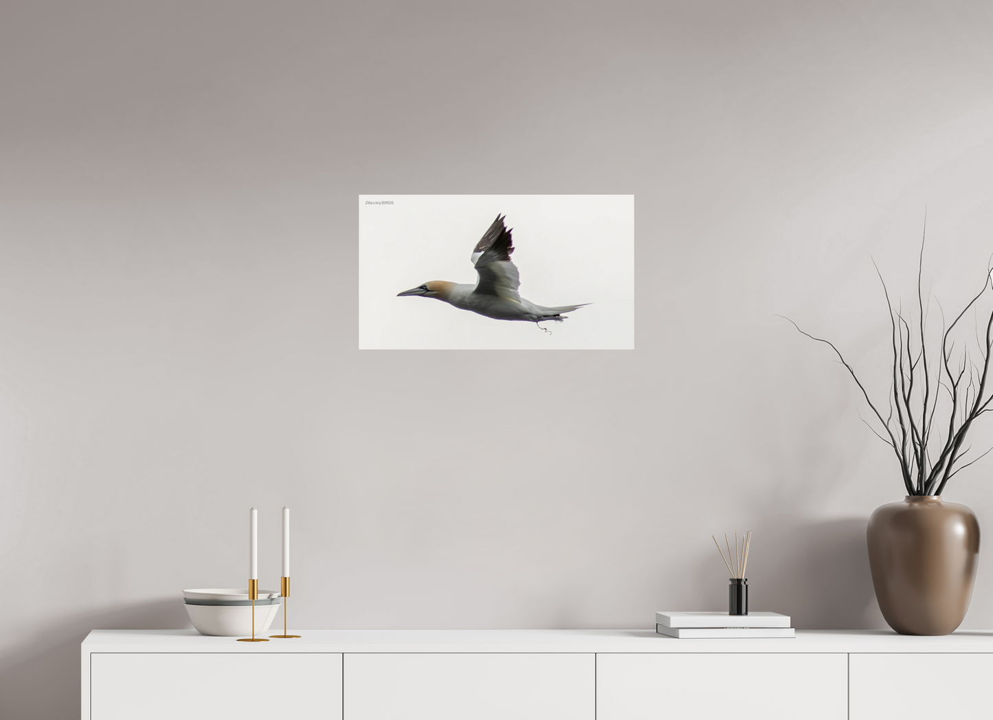 24 x 13.5″, Photo Print Under Acrylic Glass Zillas Zoom Image 331