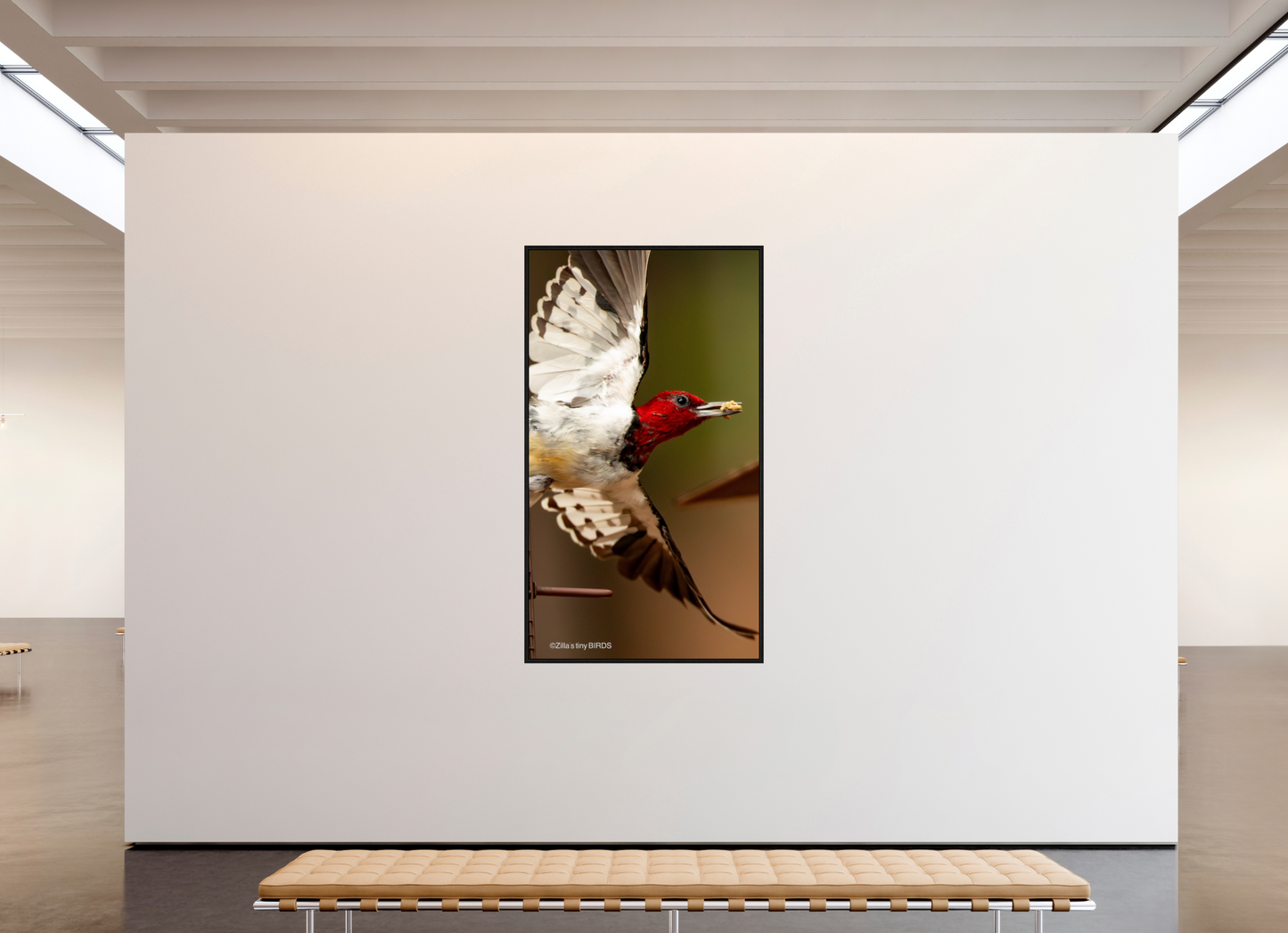 45 x 80″, Floater Frame Zillas Zoom Image 399