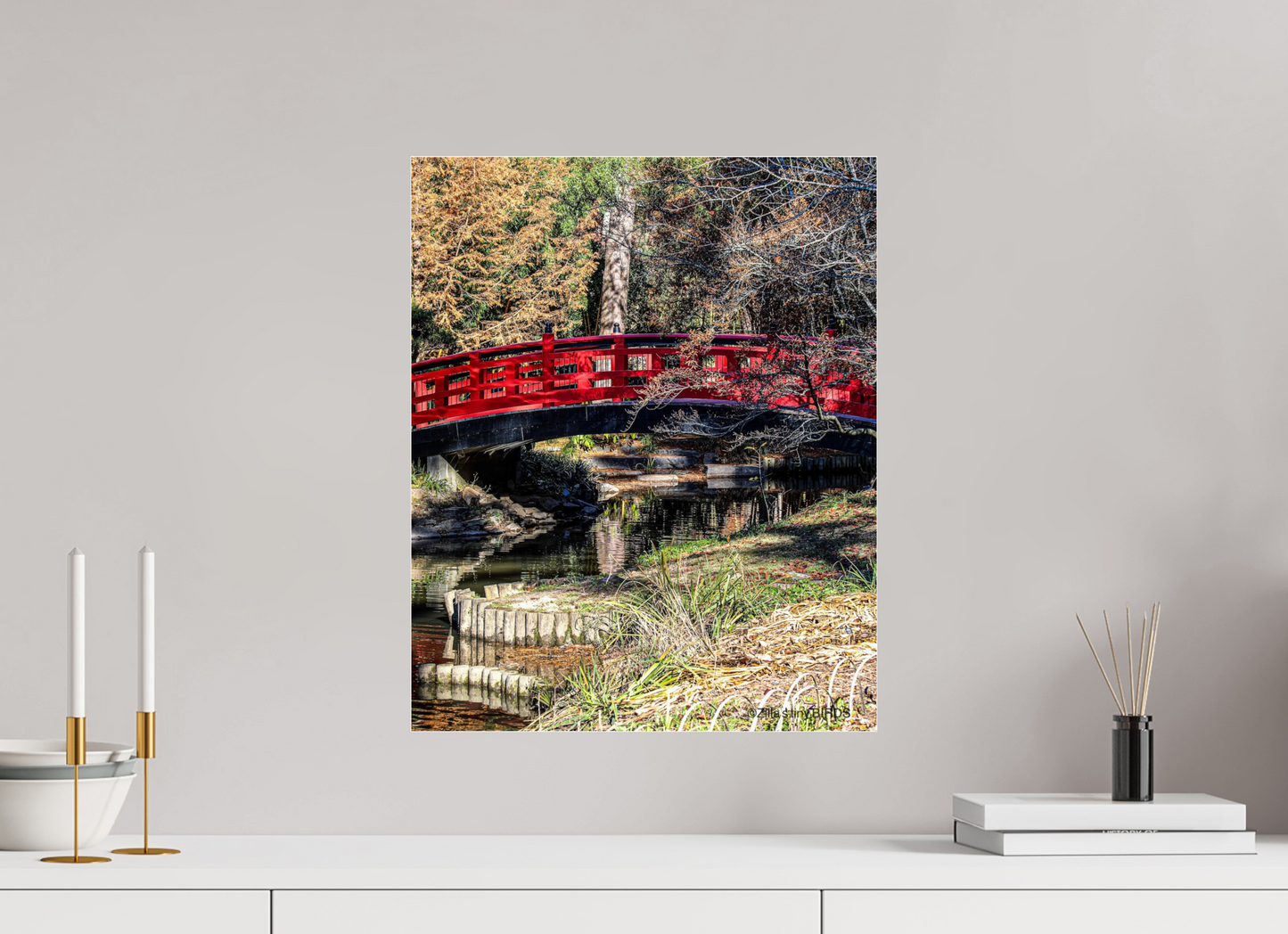 16 x 19.7″, Photo Print Under Acrylic Glass Zillas Zoom Image 262
