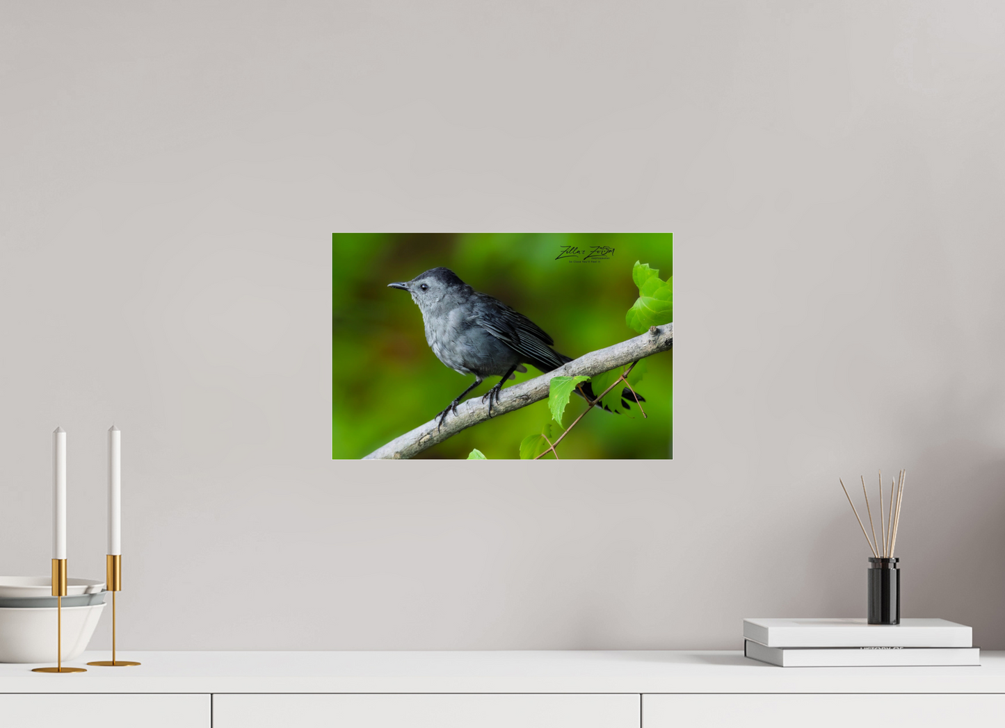 15 x 10″, Photo Print Under Acrylic Glass Zillas Zoom Image 302
