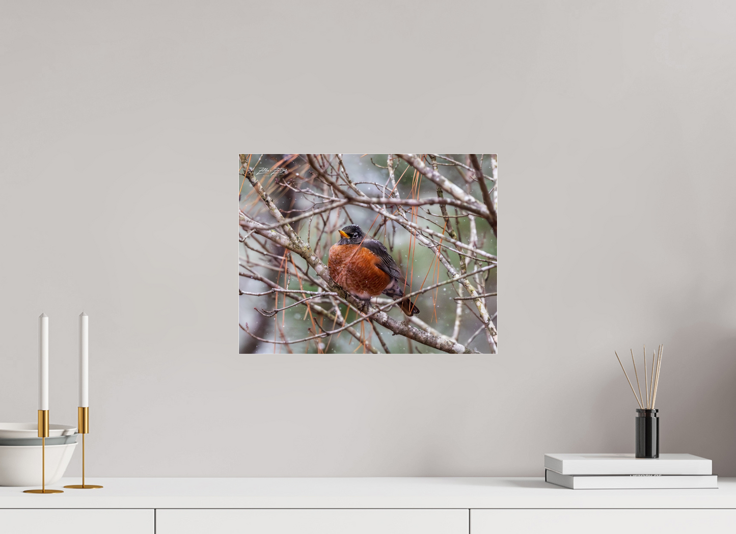 15.5 x 12″, Photo Print Under Acrylic Glass Zillas Zoom Image 337