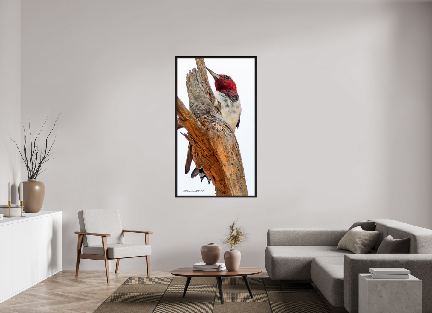 36 x 64″, Floater Frame Zillas Zoom Image 439