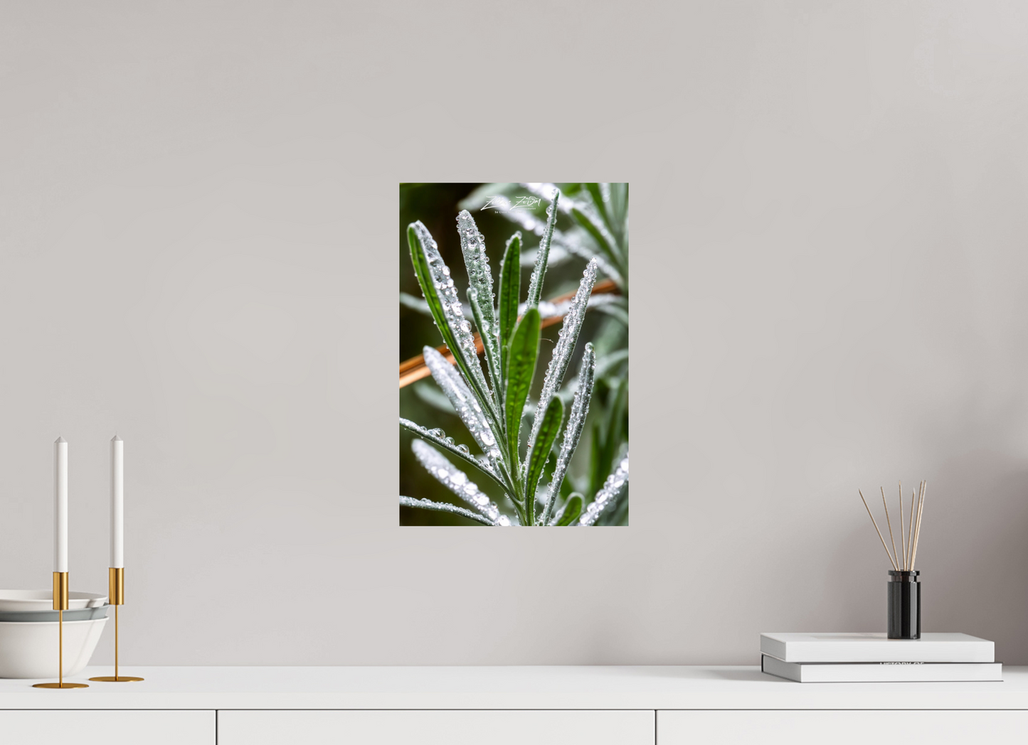 10 x 15″, Photo Print On Fuji Crystal DP II Zillas Zoom Image 110