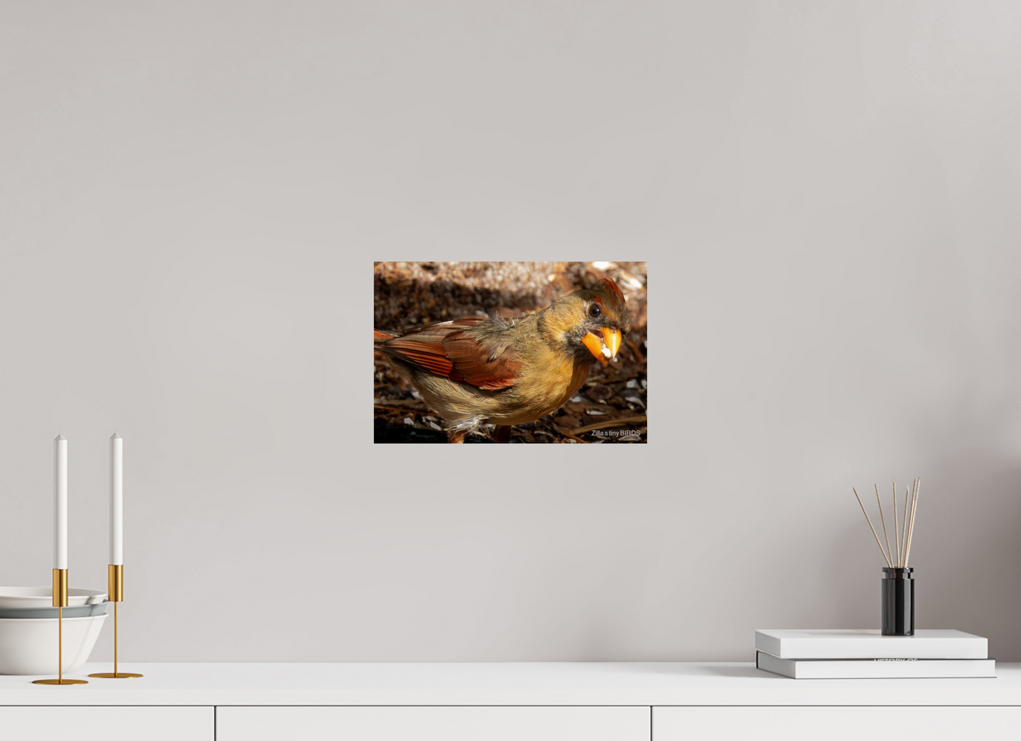 12 x 8″, Photo Print On Fuji Crystal DP II Zillas Zoom Image 392