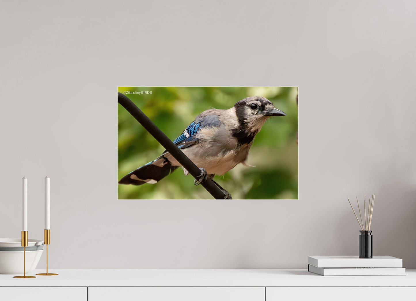 19.2 x 12″, Photo Print Under Acrylic Glass Zillas Zoom Image 348