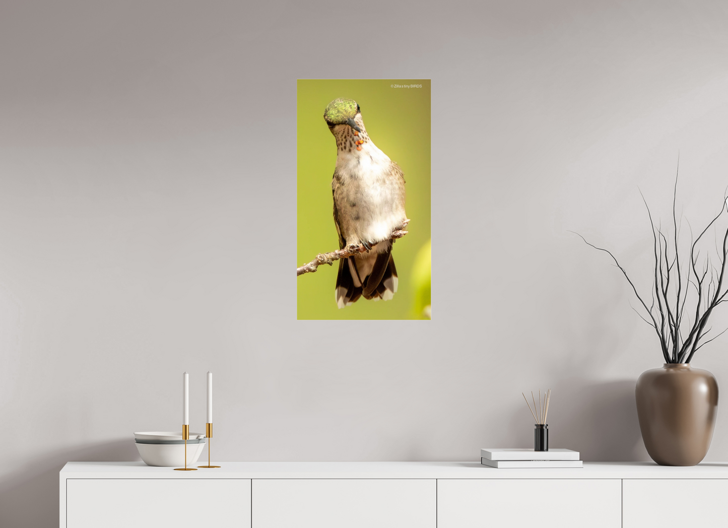 16 x 28.7″, Photo Print Under Acrylic Glass Zillas Zoom Image 444