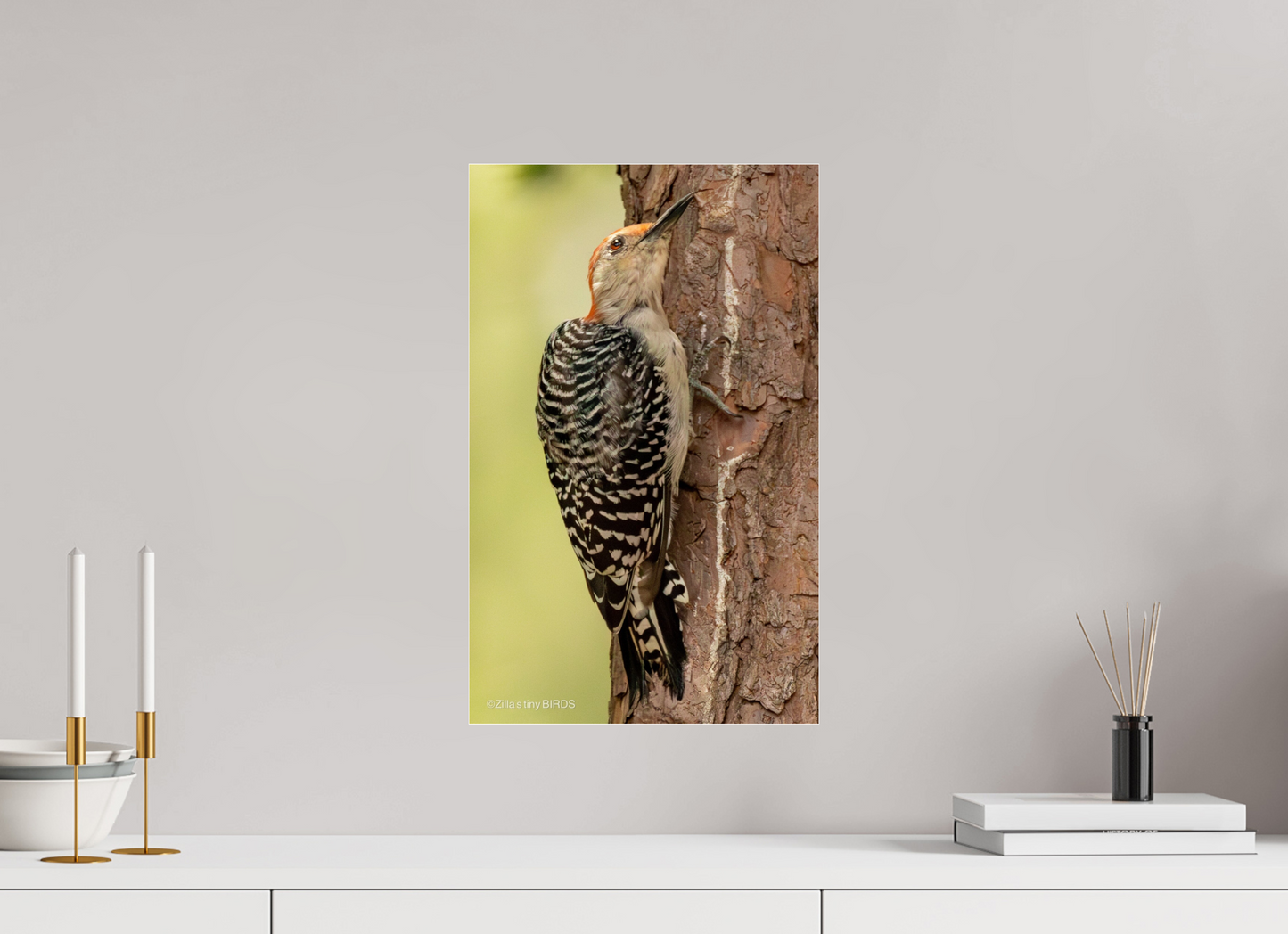 12 x 19.2″, Photo Print Under Acrylic Glass Zillas Zoom Image 456
