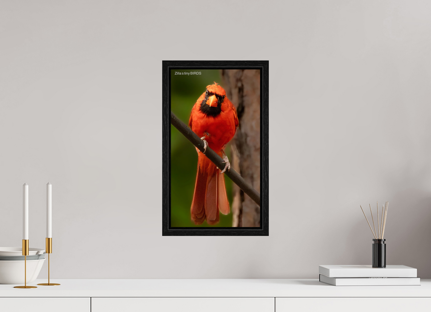 9 x 16″, Floater Frame Zillas Zoom Image 484