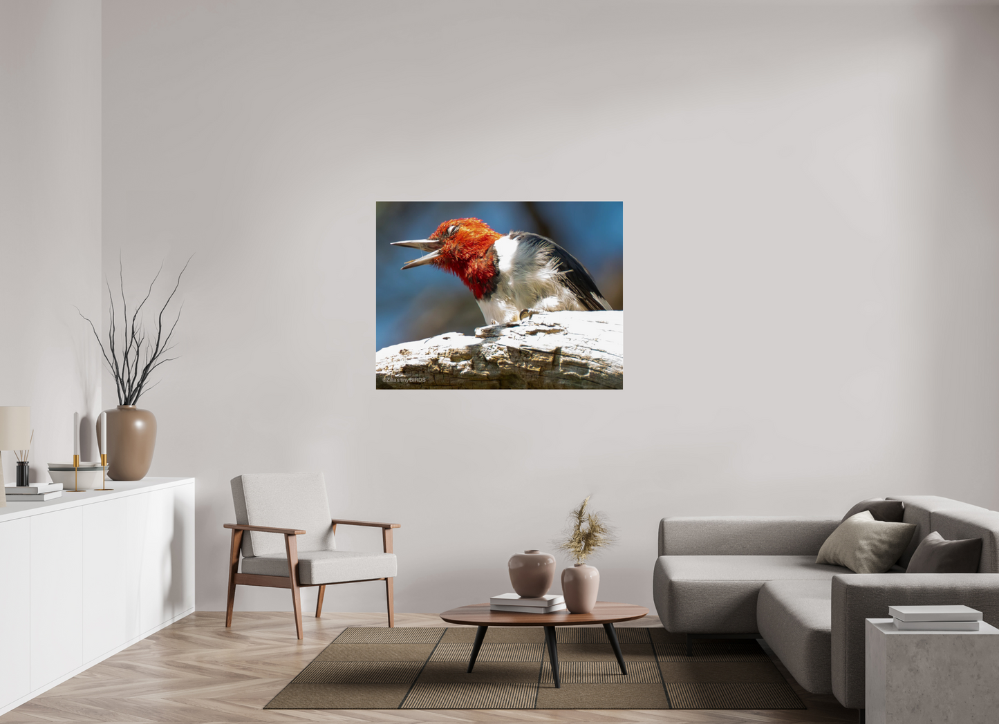 51.2 x 39″, Photo Print Under Acrylic Glass Zillas Zoom Image 269