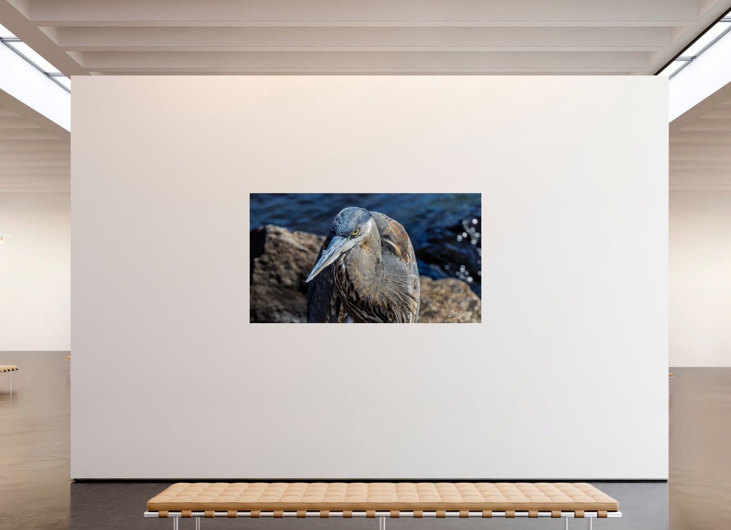 80 x 45″, Photo Print Under Acrylic Glass Zillas Zoom Image 335
