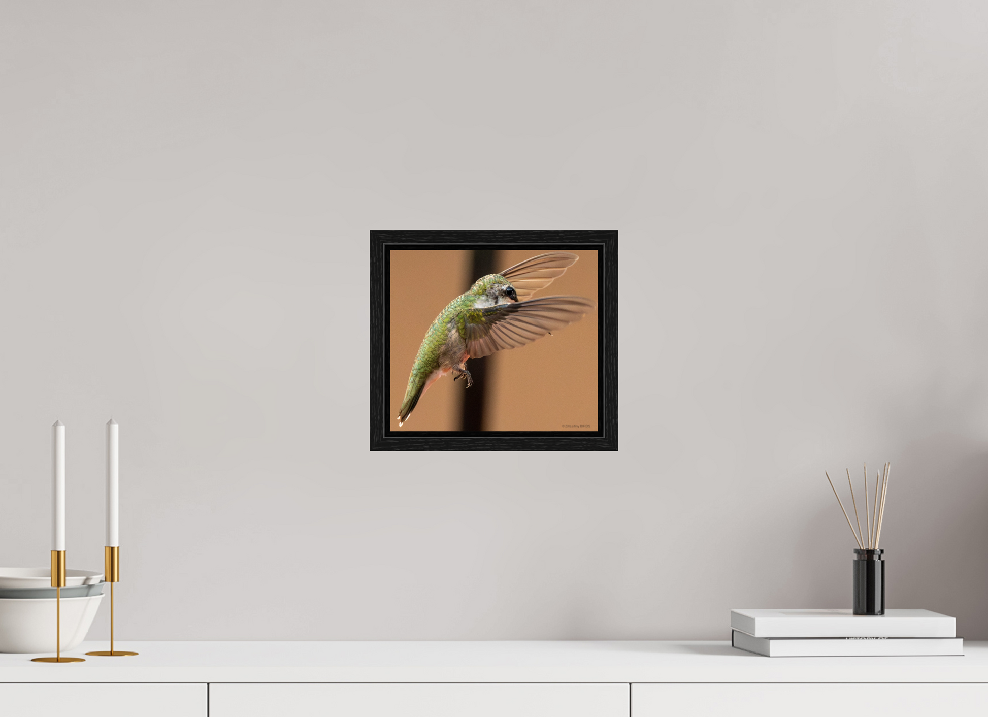 9.2 x 8″, Floater Frame Zillas Zoom Image 376
