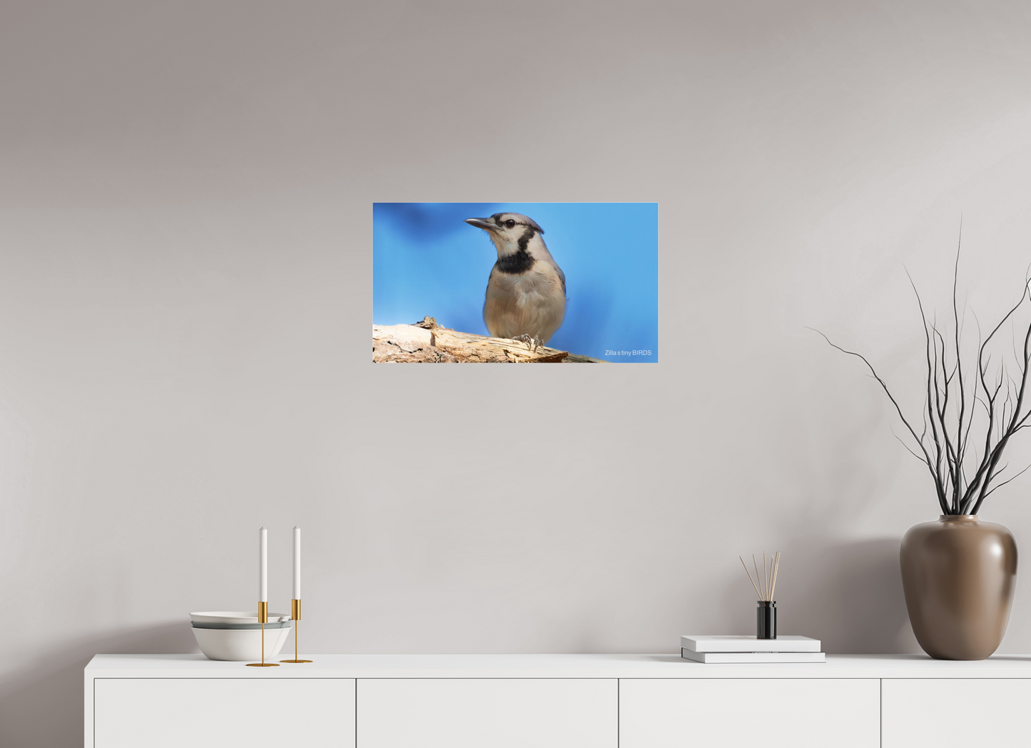 24 x 13.5″, Photo Print Under Acrylic Glass Zillas Zoom Image 384