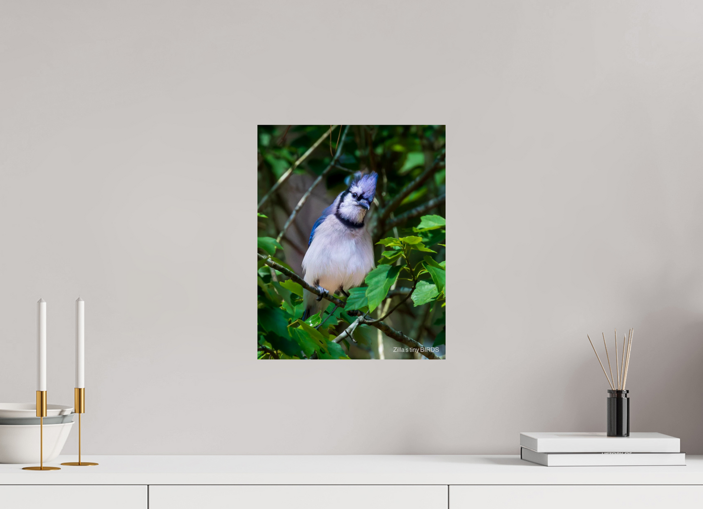 12 x 15″, Photo Print On Fuji Crystal DP II Zillas Zoom Image 497
