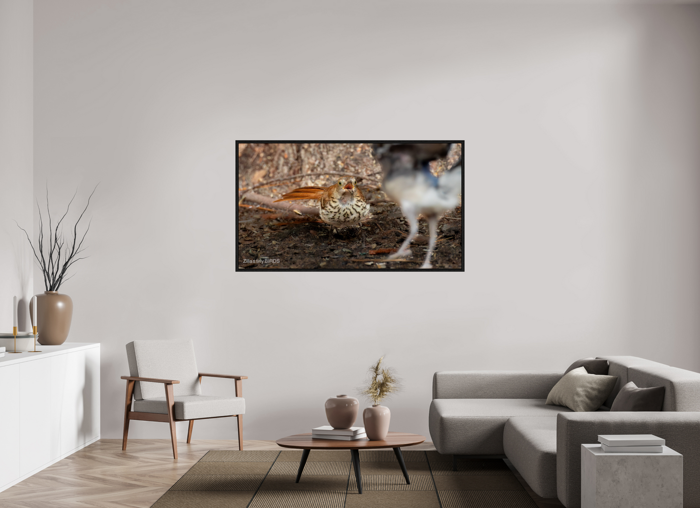 64 x 36″, Floater Frame Zillas Zoom Image 383